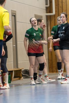 Bild 159 - F HSG Kremperheide/Muensterdorf - Slesvig IF 2 : Ergebnis: 30:26